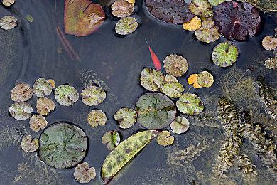 《碧蓝幻想: Relink》版本1.1.1上线！在超高难度任务中挑战最强之敌“路西法”！